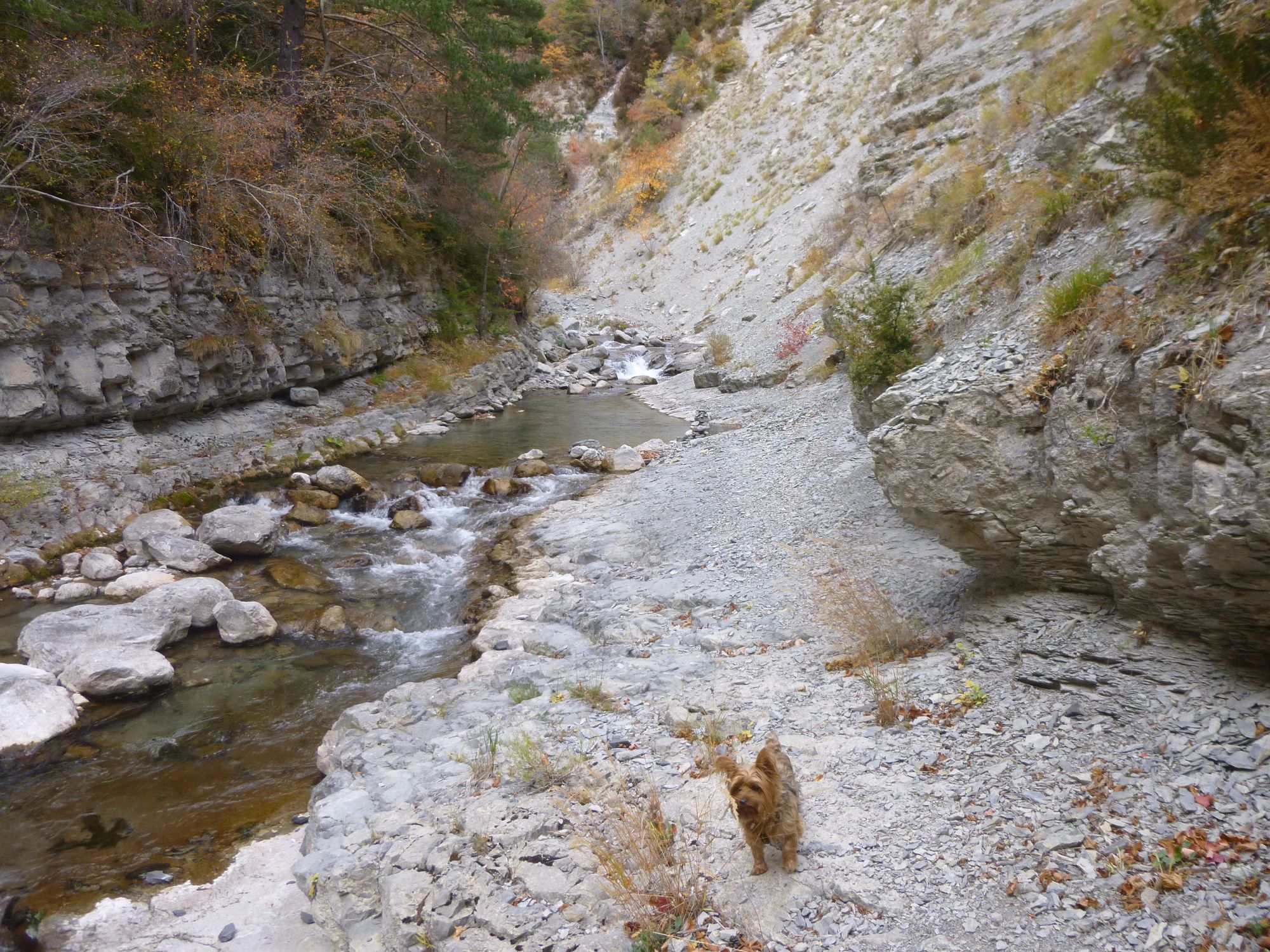 Les gorges du Coulomp