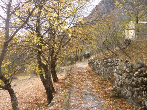 Aurent