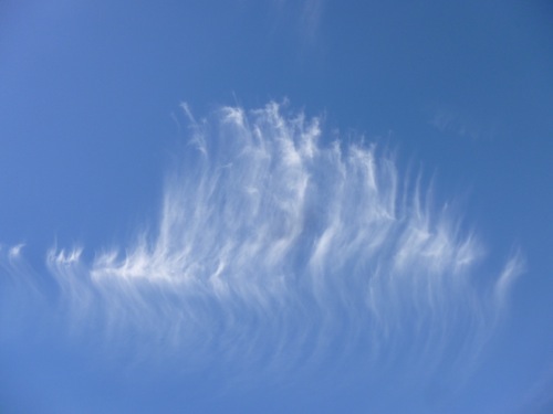 Nuage plume
