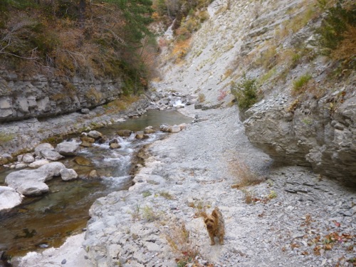 Les gorges du Coulomp