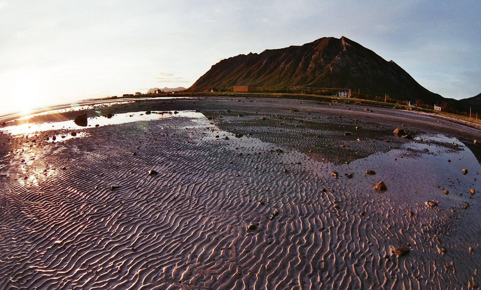 Ballesvika, Torsken