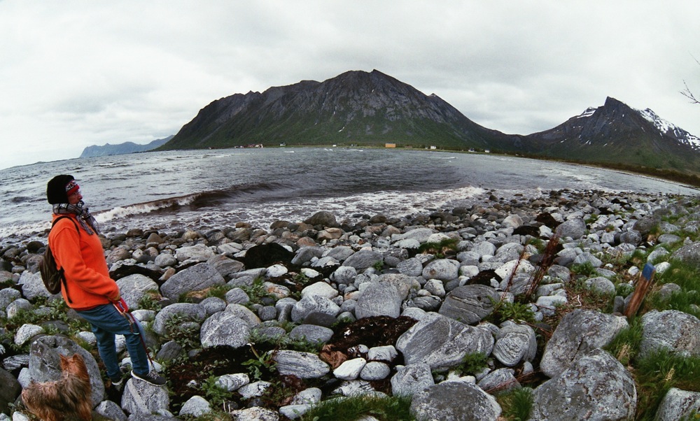 Ballesvika, Torsken