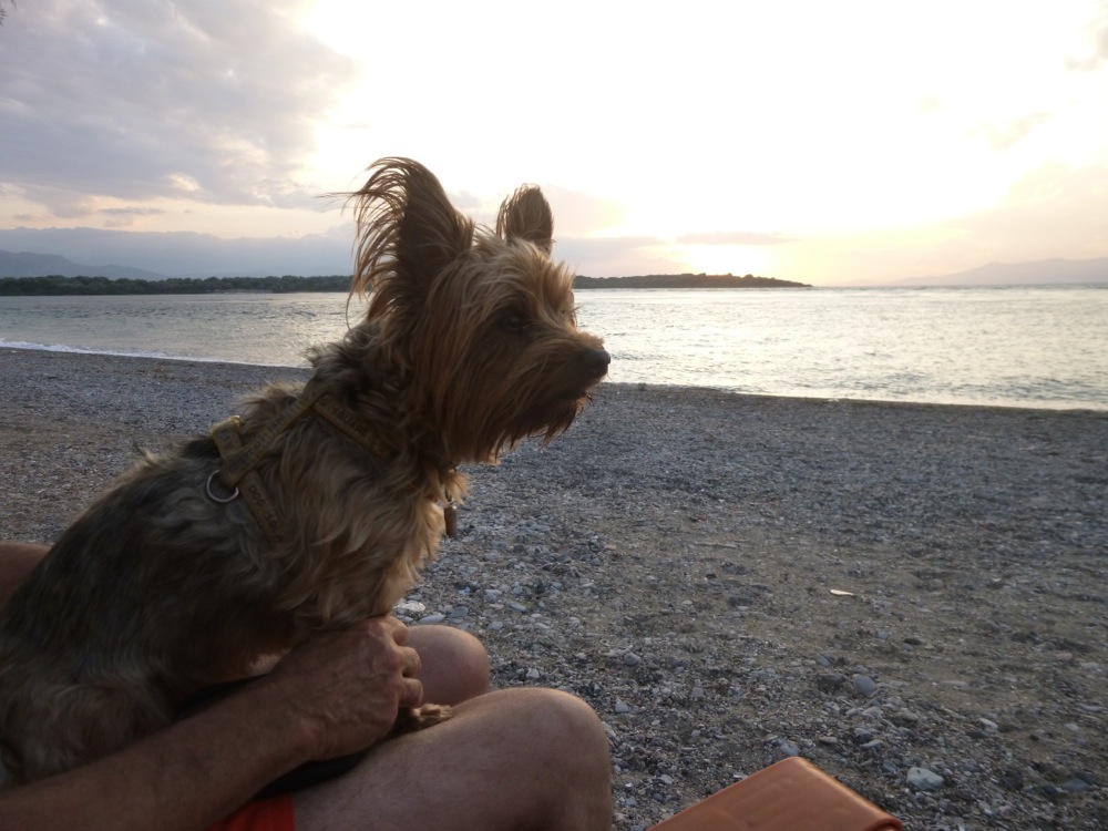 Eubée Plage de Lichada