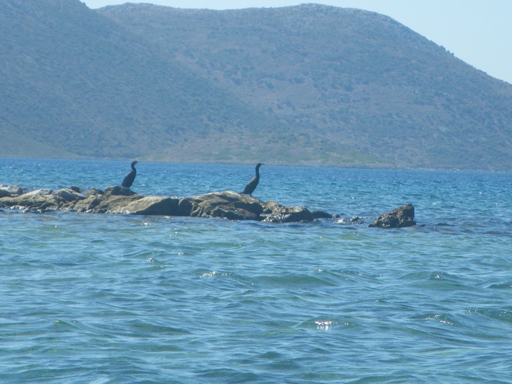 Eubée Baie d'Argyro