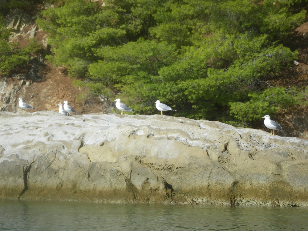 Plage de Mytikas