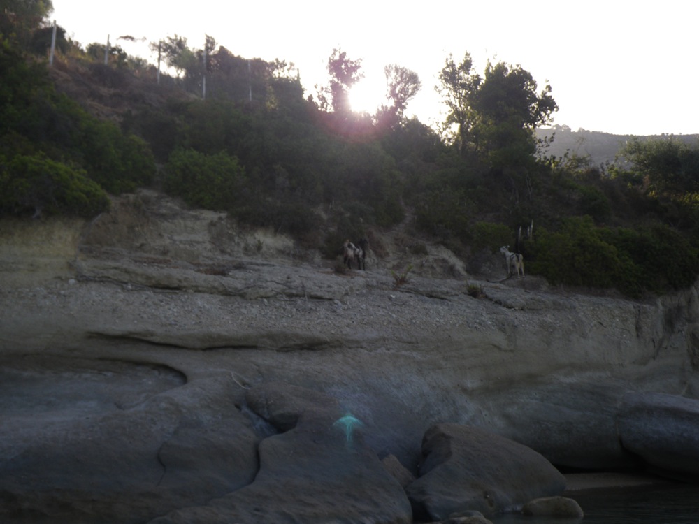 Plage de Mytikas
