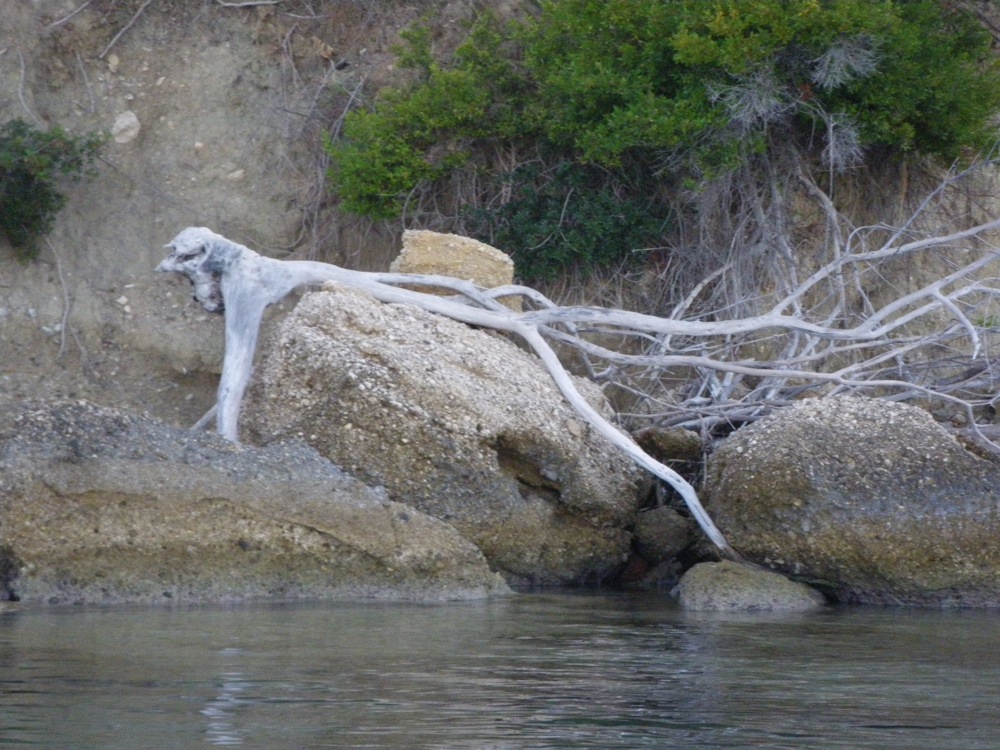 Plage de Mytikas