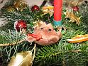 IMG_2092