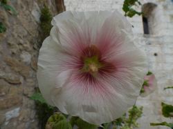 P1050721